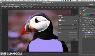 ps快捷键大全 ps快捷键大全