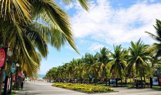 折扣飞机票 折扣飞机票