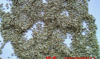 邮政托运价格表